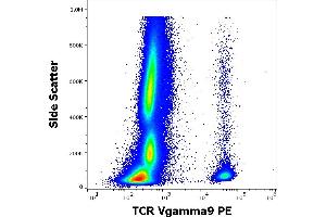 Flow cytometry surface staining pattern of human peripheral whole blood stained using anti-human TCR Vgamma9 (B3) PE antibody (10 μL reagent / 100 μL of peripheral whole blood). (TCR V gamma 9 antibody (PE))