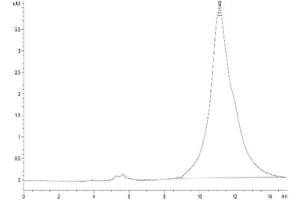 JAML Protein (AA 20-275) (His tag)
