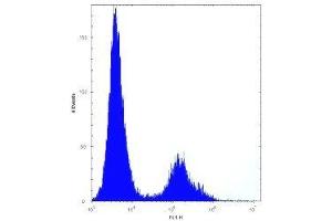 VDR antibody flow cytometric analysis of HeLa cells (right histogram) compared to a negative control (left histogram). (Vitamin D Receptor antibody  (AA 274-299))