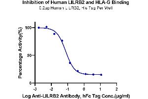 Binding Studies (Bind) image for HLA Class I Histocompatibility Antigen, alpha Chain G (HLAG) (AA 25-305), (Tetramer) protein (Biotin,His-Avi Tag,Peptide (RIIPRHLQL)) (ABIN7274818)