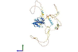 AlphaFold protein structure predicition of Human Recombinant SHB Protein, UniprotID Q15464