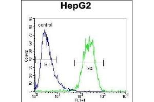 SEC13 Antibody (Center) (ABIN654695 and ABIN2844387) flow cytometric analysis of HepG2 cells (right histogram) compared to a negative control cell (left histogram). (SEC13 antibody  (AA 72-100))