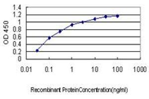 Detection limit for recombinant GST tagged GPR84 is approximately 0. (GPR84 antibody  (AA 208-316))