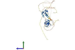 Protein Structure (PS) image for SAM Domain, SH3 Domain and Nuclear Localization Signals, 1 (SAMSN1) (AA 1-372) protein (His tag) (ABIN7556504)