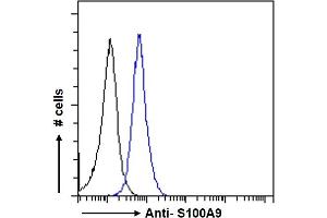 ABIN335161 Flow cytometric analysis of paraformaldehyde fixed MCF7 cells (blue line), permeabilized with 0. (S100A9 antibody  (Internal Region))