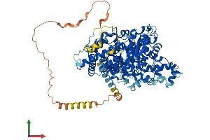 AlphaFold protein structure predicition of Human Recombinant AMPD3 Protein, UniprotID Q01432 (AMPD3 Protein (AA 1-767) (His tag))