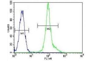 LCK antibody flow cytometric analysis of HeLa cells (green) compared to a negative control (blue). (LCK antibody  (AA 480-509))