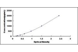 Typical standard curve (Neurotrophin 4 ELISA Kit)