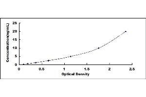 Typical standard curve (ALOX12 ELISA Kit)