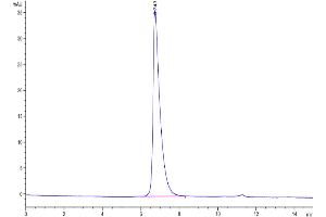 The purity of Biotinylated Human Nectin-2 is greater than 95 % as determined by SEC-HPLC. (PVRL2 Protein (His-Avi Tag,Biotin))