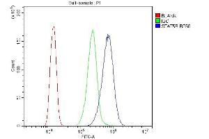 Flow Cytometry analysis of A431 cells using anti-STAT5b antibody (ABIN3042740).