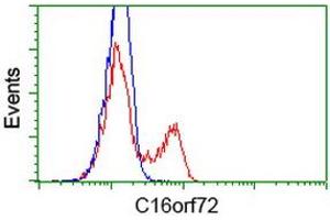 HEK293T cells transfected with either RC214935 overexpress plasmid (Red) or empty vector control plasmid (Blue) were immunostained by anti-C16orf72 antibody (ABIN2452857), and then analyzed by flow cytometry. (C16orf72 antibody)