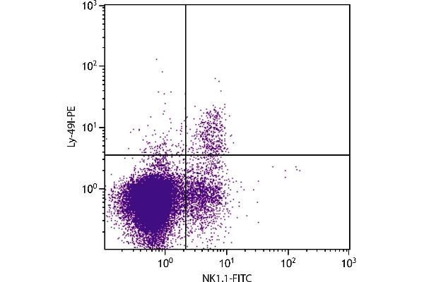 LY-49I (LY-49I) antibody (Biotin)