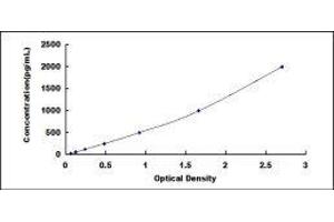 Interleukin 10 Receptor, alpha (IL10RA) ELISA Kit