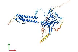 AlphaFold protein structure predicition of Mouse Recombinant Kcnj4 Protein, UniprotID P52189