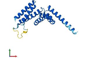 Protein Structure (PS) image for Tetratricopeptide Repeat Domain 9C (TTC9C) (AA 1-171) protein (His tag) (ABIN7544886)
