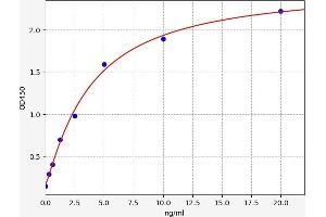 Typical standard curve (HSF1 ELISA Kit)