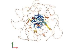 AlphaFold protein structure predicition of Mouse Recombinant Ambra1 Protein, UniprotID A2AH22