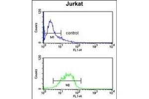 Flow Cytometry (FACS) image for anti-Insulin-Like Growth Factor Binding Protein, Acid Labile Subunit (IGFALS) (AA 308-335) antibody (ABIN391690)