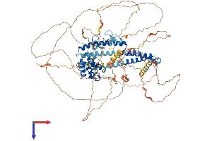 AlphaFold protein structure predicition of Human Recombinant MICALL2 Protein, UniprotID Q8IY33 (MICALL2 Protein (AA 1-904) (His tag))