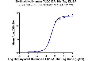 Immobilized Anti-CLEC12A Antibody, hFc Tag at 1 μg/mL (100 μL/well) on the plate.