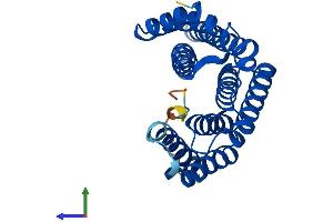 AlphaFold protein structure predicition of Human Recombinant YWHAE Protein, UniprotID P62258