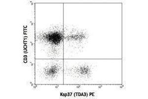 Flow Cytometry (FACS) image for anti-Fibroblast Growth Factor Binding Protein 2 (FGFBP2) antibody (PE) (ABIN2663817) (FGFBP2 antibody  (PE))