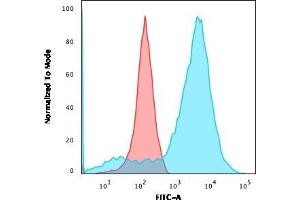 Flow Cytometric Analysis of HEK293 cells using Neurofilament Mouse Monoclonal Antibody (NR-4) followed by goat anti-Mouse IgG-CF488 (Blue); Isotype control (Red). (NEFL antibody)