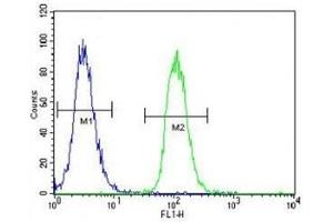 MITF antibody flow cytometric analysis of K562 cells (right histogram) compared to a negative control (left histogram) (MITF antibody  (AA 1-28))