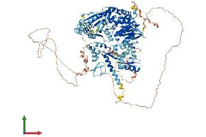 AlphaFold protein structure predicition of Human Recombinant ZRANB3 Protein, UniprotID Q5FWF4 (ZRANB3 Protein (AA 1-1079) (His tag))