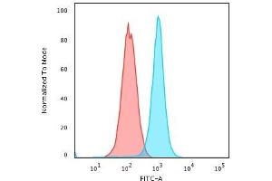 Flow Cytometric Analysis of K562 cells using Moesin Mouse Monoclonal Antibody (MSN/491) followed by Goat anti-Mouse IgG-CF488 (Blue); Isotype Control (Red). (Moesin antibody)