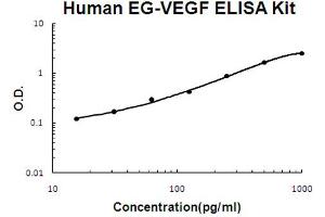 Human EG-VEGF Accusignal ELISA Kit Human EG-VEGF AccuSignal ELISA Kit standard curve. (Prokineticin 1 ELISA Kit)