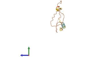 AlphaFold protein structure predicition of Human Recombinant RBAKDN Protein, UniprotID A6NC62 (RBAKDN Protein (AA 1-111) (His tag))