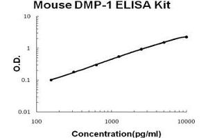 Mouse DMP-1 PicoKine ELISA Kit standard curve