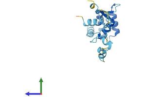AlphaFold protein structure predicition of Mouse Recombinant Tppp2 Protein, UniprotID Q0P5Y3