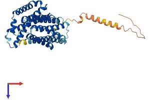 AlphaFold protein structure predicition of Mouse Recombinant Nipa2 Protein, UniprotID Q9JJC8 (NIPA2 Protein (AA 1-359) (His tag))
