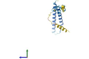 AlphaFold protein structure predicition of Human Recombinant MMGT1 Protein, UniprotID Q8N4V1 (MMGT1 Protein (AA 1-131) (His tag))