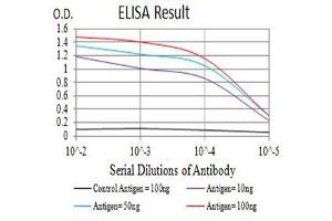 Black line: Control Antigen (100 ng),Purple line: Antigen (10 ng), Blue line: Antigen (50 ng), Red line:Antigen (100 ng) (FOLR1 antibody  (AA 41-227))