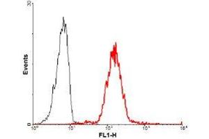 FACS staining of human Lymphocyte(CD4+) using anti-Jagged-1 (human), mAb (J1G53-3) (FITC) . (JAG1 antibody  (FITC))