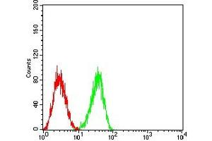 Flow cytometric analysis of HL-60 cells using CD353 mouse mAb (green) and negative control (red). (SLAMF8 antibody  (AA 23-233))