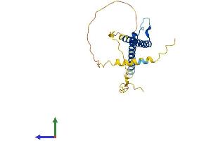 AlphaFold protein structure predicition of Mouse Recombinant Bhlhe23 Protein, UniprotID Q8BGW3