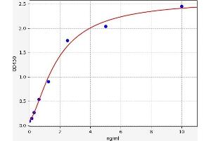 RIPK1 ELISA Kit