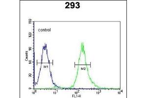 STX1A Antibody (N-term) (ABIN653770 and ABIN2843062) flow cytometric analysis of 293 cells (right histogram) compared to a negative control cell (left histogram).