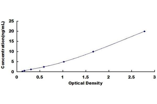 STAT5B ELISA Kit