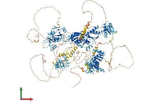 AlphaFold protein structure predicition of Mouse Recombinant Topbp1 Protein, UniprotID Q6ZQF0 (TOPBP1 Protein (AA 1-1515) (His tag))