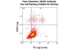Flow Cytometry (FACS) image for anti-ATP-Binding Cassette, Sub-Family B (MDR/TAP), Member 5 (ABCB5) antibody (ABIN3002513) (ABCB5 antibody)
