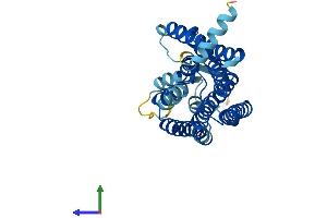 AlphaFold protein structure predicition of Human Recombinant OR8G3P Protein, UniprotID P0DMU2 (OR8G3P Protein (AA 1-310) (His tag))