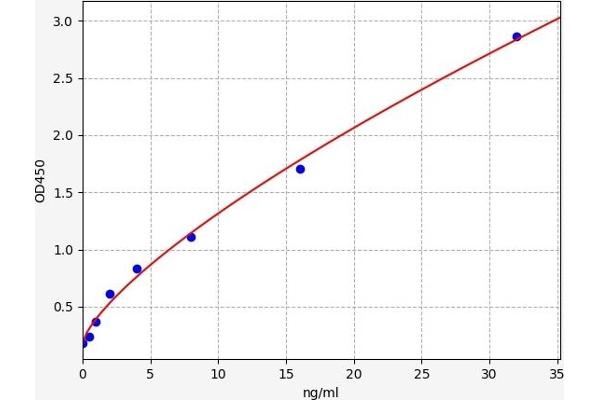 CDO1 ELISA Kit