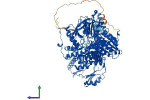 Protein Structure (PS) image for ATP Citrate Lyase (ACLY) (AA 1-1091) protein (His tag) (ABIN7564780)