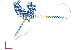 AlphaFold protein structure predicition of Human Recombinant ENTPD4 Protein, UniprotID Q9Y227